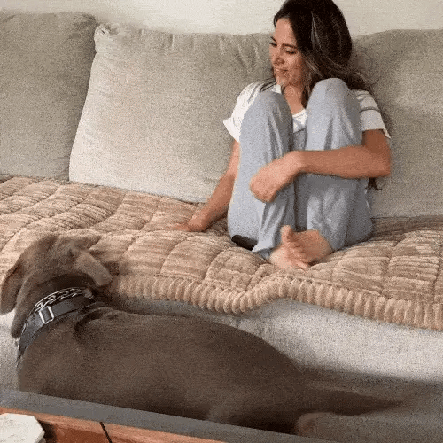 Cozy Plush Pet Sofa Seat