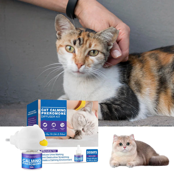 Product placeholder